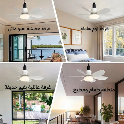 LED fan